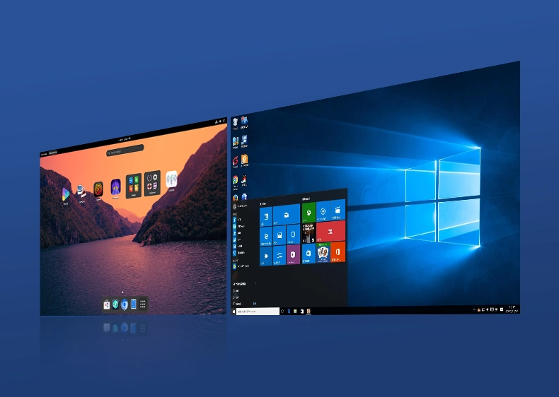 Flexible Operating Systems: Windows 11 Pro & Linux
