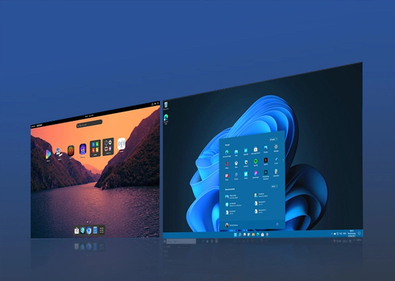 Flexible Operating Systems: Windows 11 Pro & Linux