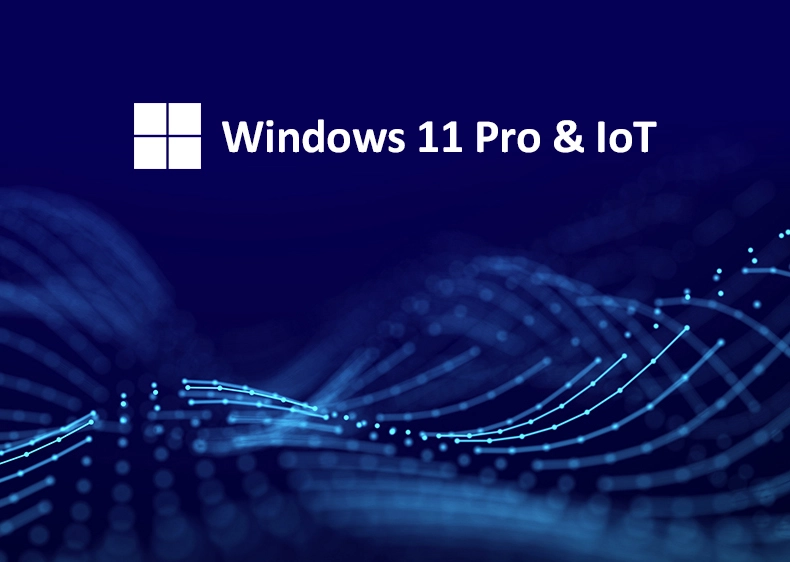 Versatile Operating Systems: Windows 11 Pro & IoT