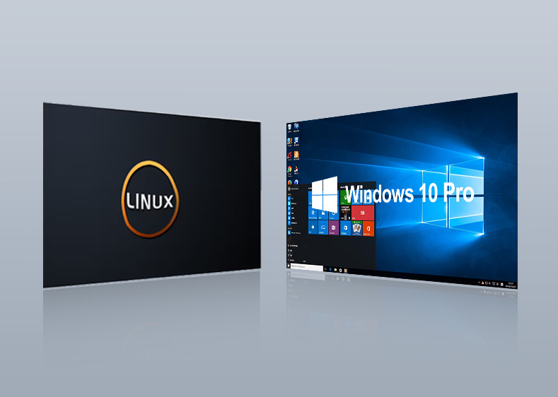 Flexible Operating Systems: Windows & Linux