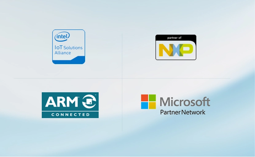Partners & Alliances