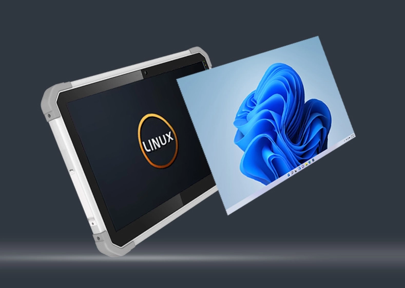 Versatile Operating Systems: Windows 11 Pro & Linux