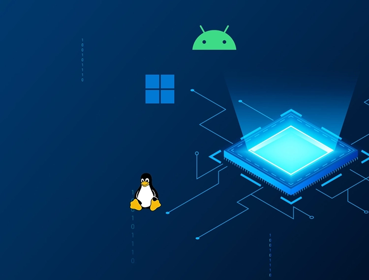 OS and Firmware
