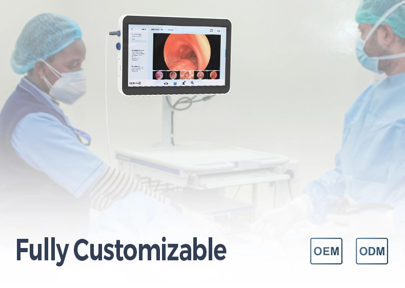 Fully Customizable Endoscopy System for Tailored Medical Applications